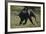 Baby Elephant Running-DLILLC-Framed Photographic Print