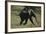 Baby Elephant Running-DLILLC-Framed Photographic Print