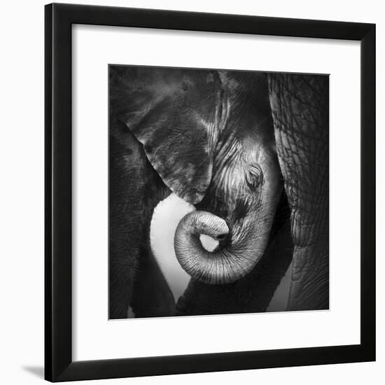 Baby Elephant Seeking Comfort against Mother's Leg - Etosha National Park-Johan Swanepoel-Framed Photographic Print