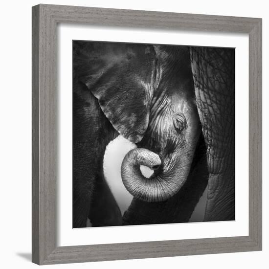 Baby Elephant Seeking Comfort against Mother's Leg - Etosha National Park-Johan Swanepoel-Framed Photographic Print