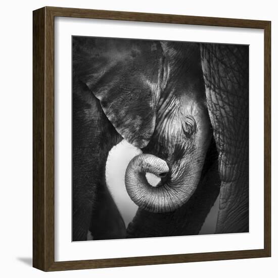 Baby Elephant Seeking Comfort against Mother's Leg - Etosha National Park-Johan Swanepoel-Framed Photographic Print