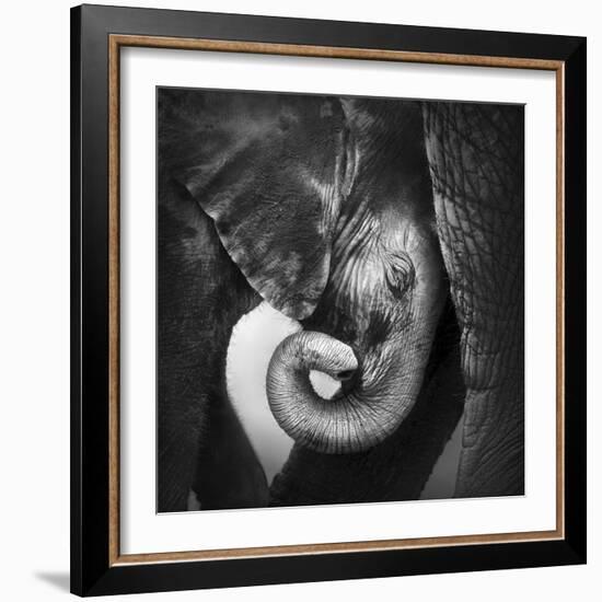 Baby Elephant Seeking Comfort against Mother's Leg - Etosha National Park-Johan Swanepoel-Framed Photographic Print