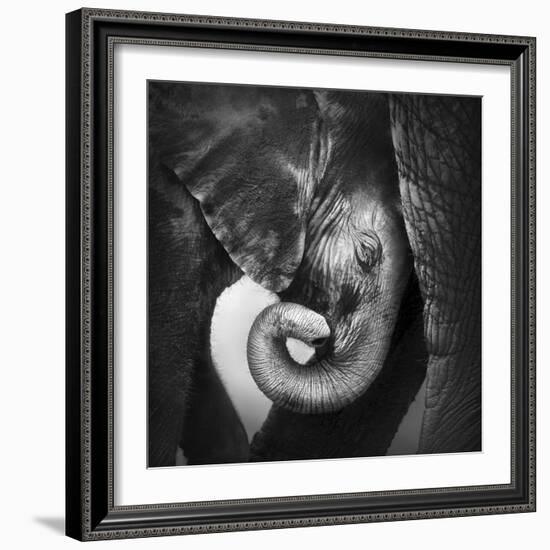 Baby Elephant Seeking Comfort against Mother's Leg - Etosha National Park-Johan Swanepoel-Framed Photographic Print