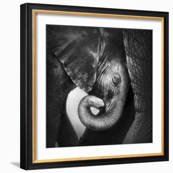 Baby Elephant Seeking Comfort against Mother's Leg - Etosha National Park-Johan Swanepoel-Framed Photographic Print