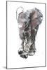 Baby Elephant Study-Mark Adlington-Mounted Giclee Print