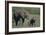 Baby Elephant Trumpeting at Mother-DLILLC-Framed Photographic Print