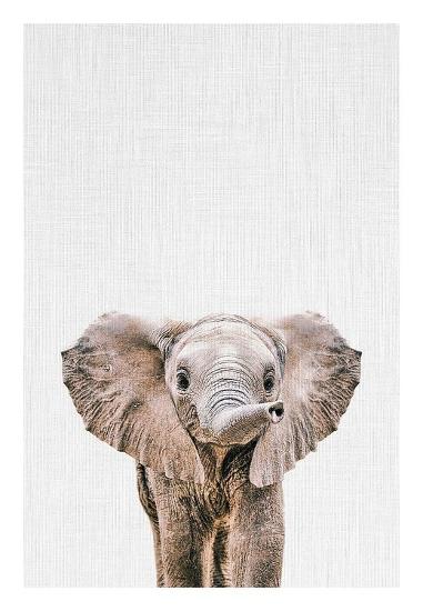 Baby Elephant Art Print Tai Prints Art Com Baby Elephant Art Print Tai Prints Art Com