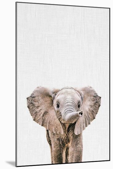 Baby Elephant-Tai Prints-Mounted Art Print