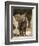 Baby Elephant-Martin Harvey-Framed Photographic Print