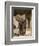 Baby Elephant-Martin Harvey-Framed Photographic Print