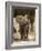 Baby Elephant-Martin Harvey-Framed Photographic Print