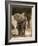 Baby Elephant-Martin Harvey-Framed Photographic Print