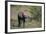 Baby Elephant-DLILLC-Framed Photographic Print