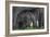 Baby Elephant-Karine Aigner-Framed Photographic Print