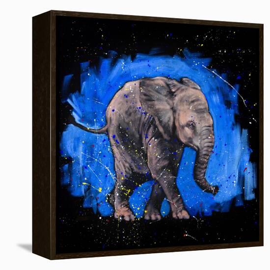 Baby Elephant-null-Framed Stretched Canvas