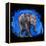 Baby Elephant-null-Framed Stretched Canvas