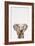 Baby Elephant-Tai Prints-Framed Art Print