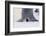 Baby Emperor Penguin Warming beneath an Adult-DLILLC-Framed Photographic Print