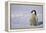 Baby Emperor Penguin-DLILLC-Framed Premier Image Canvas