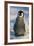 Baby Emperor Penguin-DLILLC-Framed Photographic Print