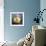 Baby First Light-Kirk Reinert-Framed Giclee Print displayed on a wall