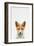 Baby Fox-Tai Prints-Framed Art Print