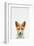 Baby Fox-Tai Prints-Framed Art Print