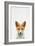 Baby Fox-Tai Prints-Framed Art Print