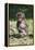 Baby Gelada Baboon (Theropithecus Gelada)-Gabrielle and Michel Therin-Weise-Framed Premier Image Canvas