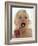 Baby Girl Brushing Teeth-Ian Boddy-Framed Photographic Print