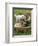 Baby Girl Playing with Puppy-Chris Lowe-Framed Photographic Print