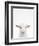 Baby Goat-Tai Prints-Framed Photographic Print