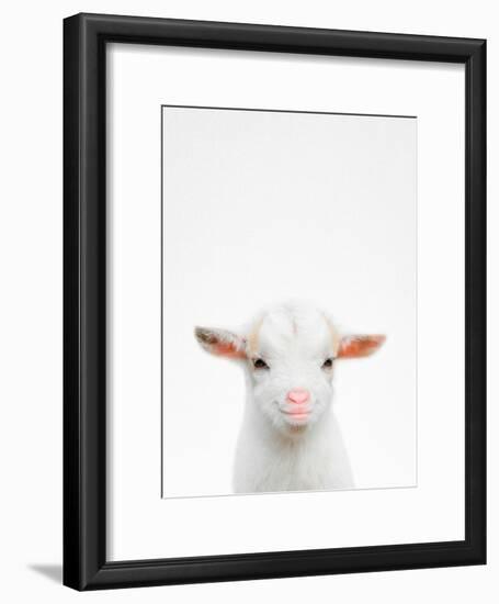 Baby Goat-Tai Prints-Framed Photographic Print