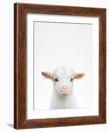 Baby Goat-Tai Prints-Framed Photographic Print