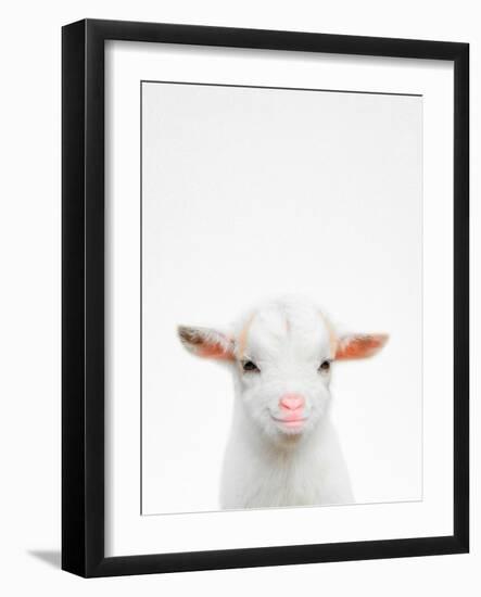 Baby Goat-Tai Prints-Framed Photographic Print