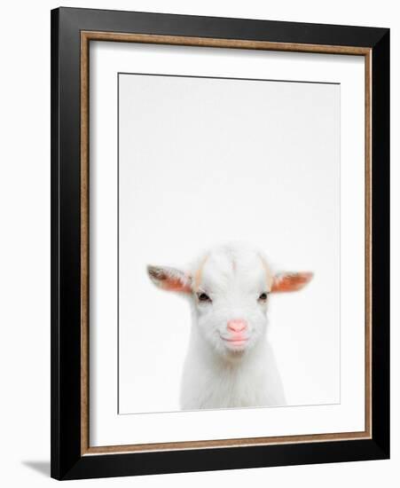 Baby Goat-Tai Prints-Framed Photographic Print