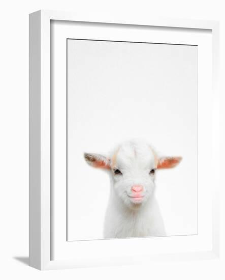 Baby Goat-Tai Prints-Framed Photographic Print