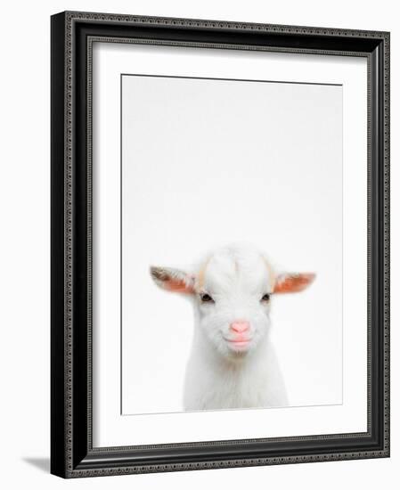 Baby Goat-Tai Prints-Framed Photographic Print