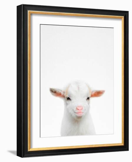 Baby Goat-Tai Prints-Framed Photographic Print