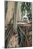 Baby Great Horned Owl in Eucalyptus, Berkeley California-Vincent James-Mounted Photographic Print