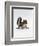 Baby Grey Squirrel, Portrait-Jane Burton-Framed Premium Photographic Print