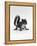 Baby Grey Squirrel, Portrait-Jane Burton-Framed Premier Image Canvas