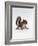 Baby Grey Squirrel, Portrait-Jane Burton-Framed Photographic Print