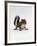 Baby Grey Squirrel, Portrait-Jane Burton-Framed Photographic Print