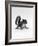 Baby Grey Squirrel, Portrait-Jane Burton-Framed Photographic Print