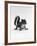 Baby Grey Squirrel, Portrait-Jane Burton-Framed Photographic Print