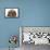 Baby Guinea Pig and Rabbit-Mark Taylor-Framed Premier Image Canvas displayed on a wall