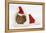 Baby Guinea Pig in and Wearing a Father Christmas Hat-Mark Taylor-Framed Premier Image Canvas