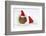 Baby Guinea Pig in and Wearing a Father Christmas Hat-Mark Taylor-Framed Photographic Print