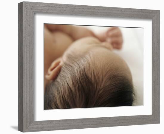 Baby Hair-Ian Boddy-Framed Photographic Print